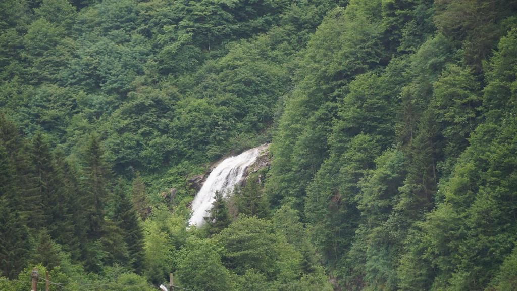 Ayder Resort Hotel Rize Eksteriør bilde