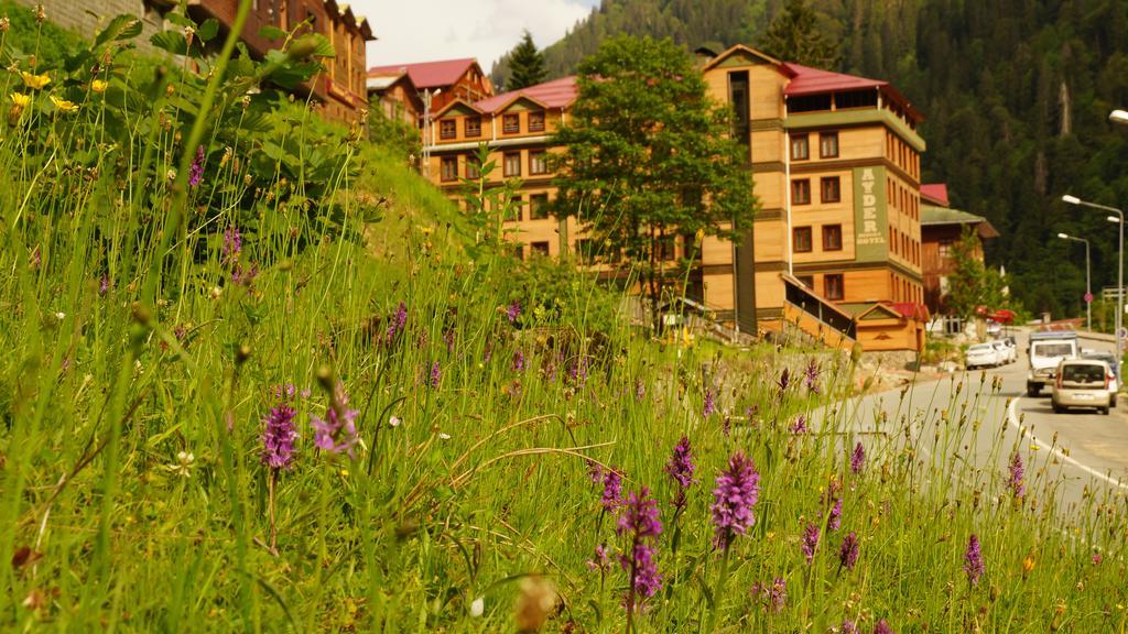 Ayder Resort Hotel Rize Eksteriør bilde