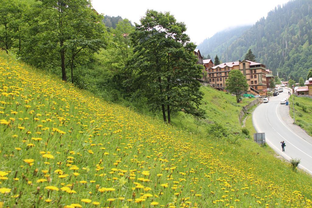 Ayder Resort Hotel Rize Eksteriør bilde