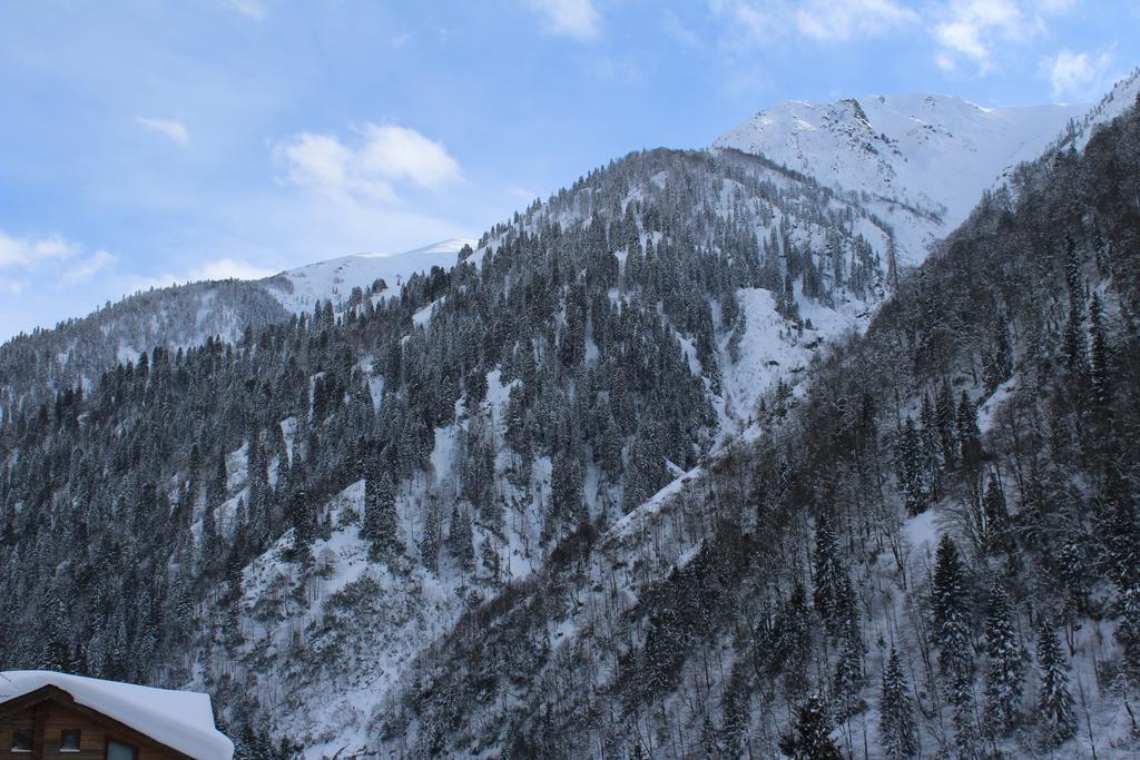 Ayder Resort Hotel Rize Eksteriør bilde